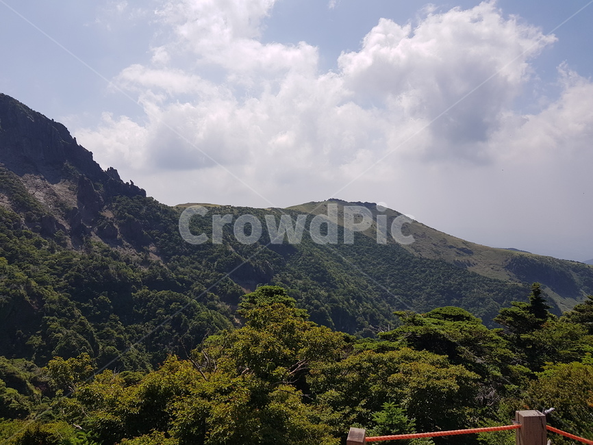 배경화면,자연풍경,경치,한라산,자연배경,등산,나무,산,등산길,제주도,한라산등산,여름,가을,하늘,자연,배경,풍경,멋진경치,nature,언덕,hill,옥외