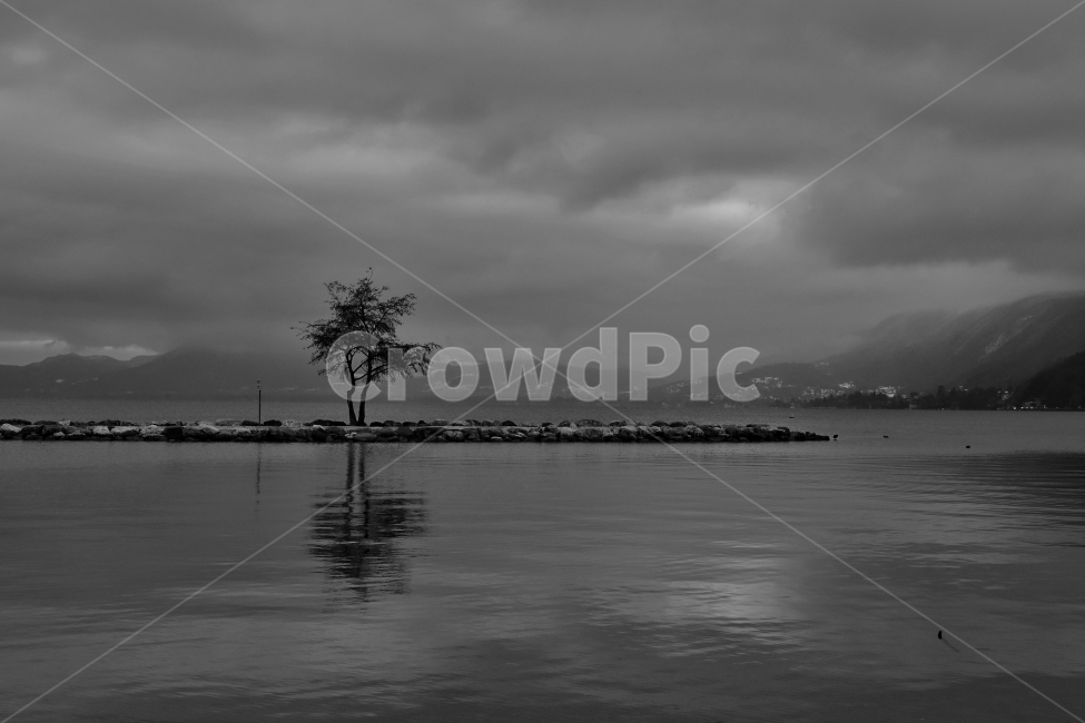 흑백,풍경,나무,호수,자연,하늘,길,뚝,제방,구름,강,야간,밤,nightview,landscape,자연,풍경,nature,landscape,식물,plants,나무,trees,wood,흑백,모노톤,monochrome,black and white,weather,날씨,tree,plant