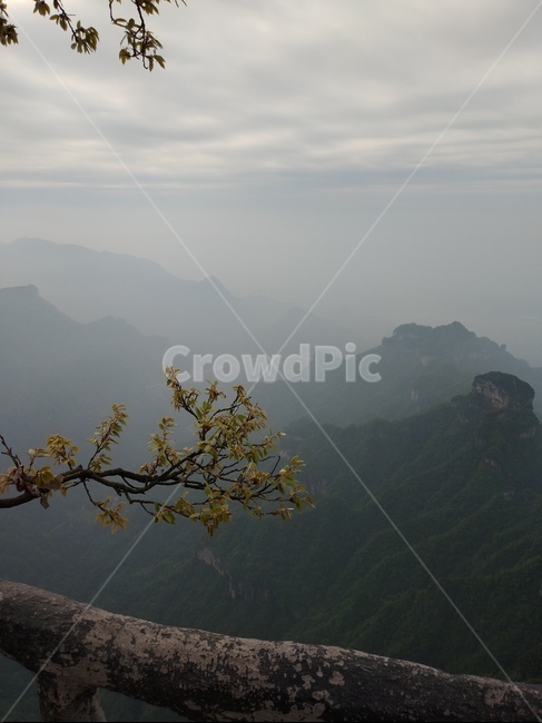 중국,산,장가계,산맥,옥외,자연,식물,자연,풍경,nature,landscape,mountain range,outdoors,mountain