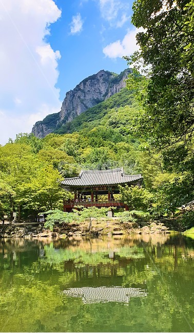 백양사,여름,절,temple,summer