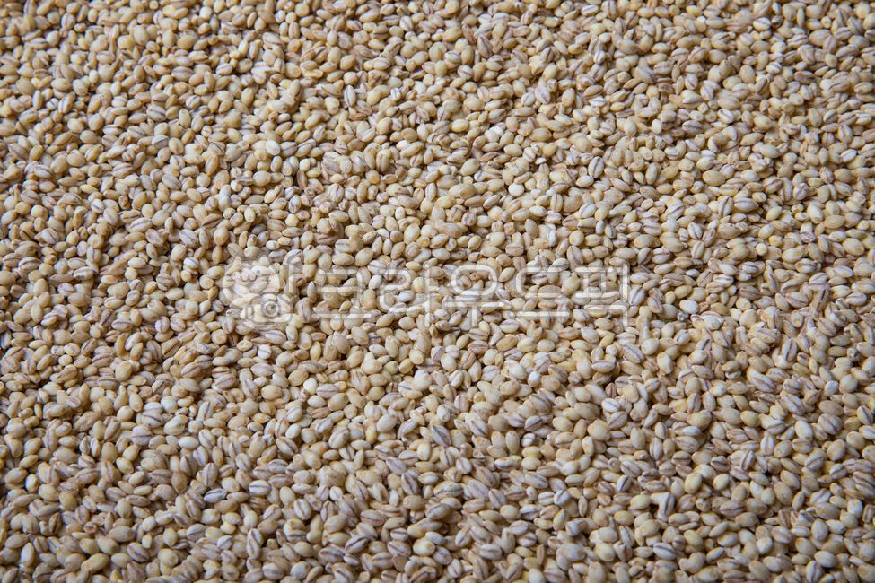 보리,보리쌀,보리밥,늘보리,잡곡,곡식,음식,곡물,건강,다이어트,다이어트식품,barley,barleyrice,slenderbarley,multigrain,grain,food,health,healthfood,diet,dietfood