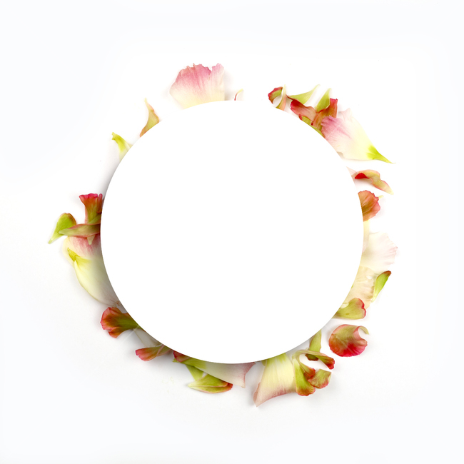꽃,프레임,백그라운드,꽃잎,배경,배경이미지,봄,계절,내츄럴,보태니컬,보태니컬프레임