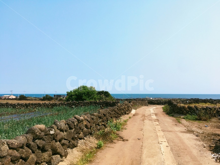제주도,길,바다,풍경,감성,jeju,돌담길,산책