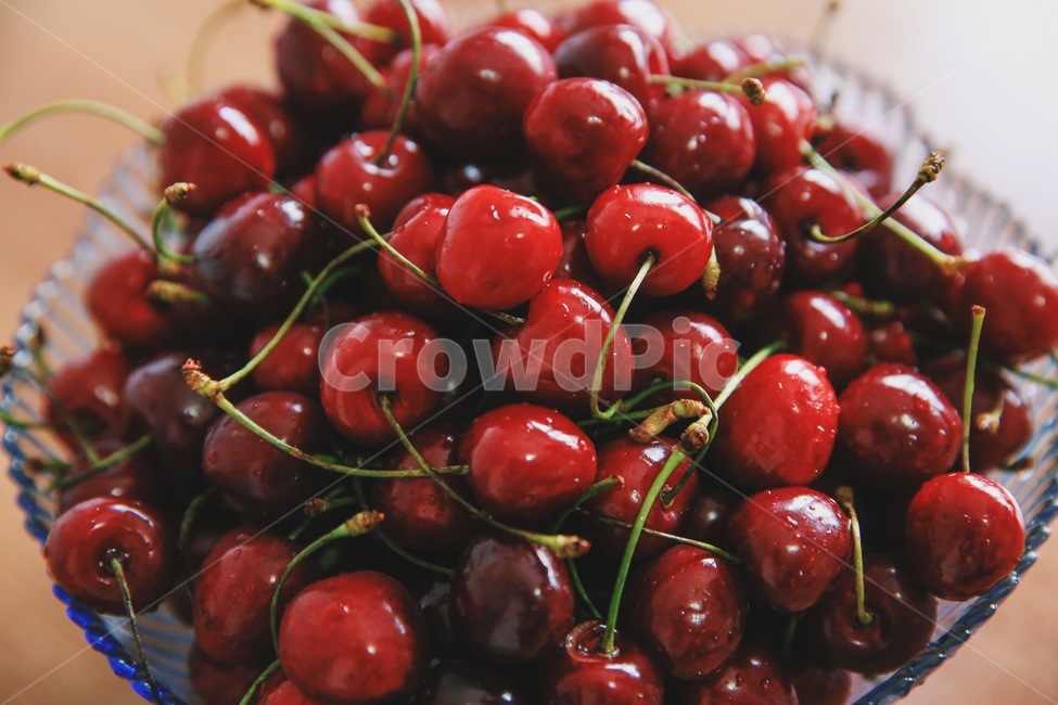 체리,cherry,식품,과일,fruit,과일,열매,fruit