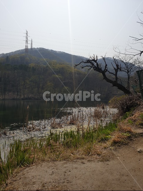 nature,자연,outdoors,water,물,봄,spring