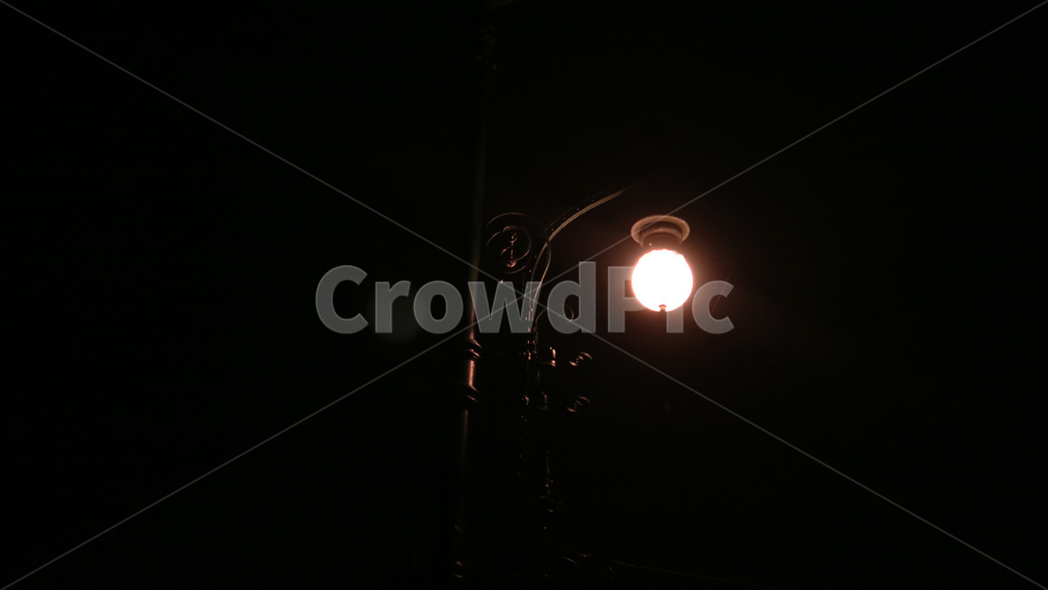 lighting,조명,flare,플레어,light,빛,밤,가로수,등불,야경,밤,풍경,nightscape,night,landscape