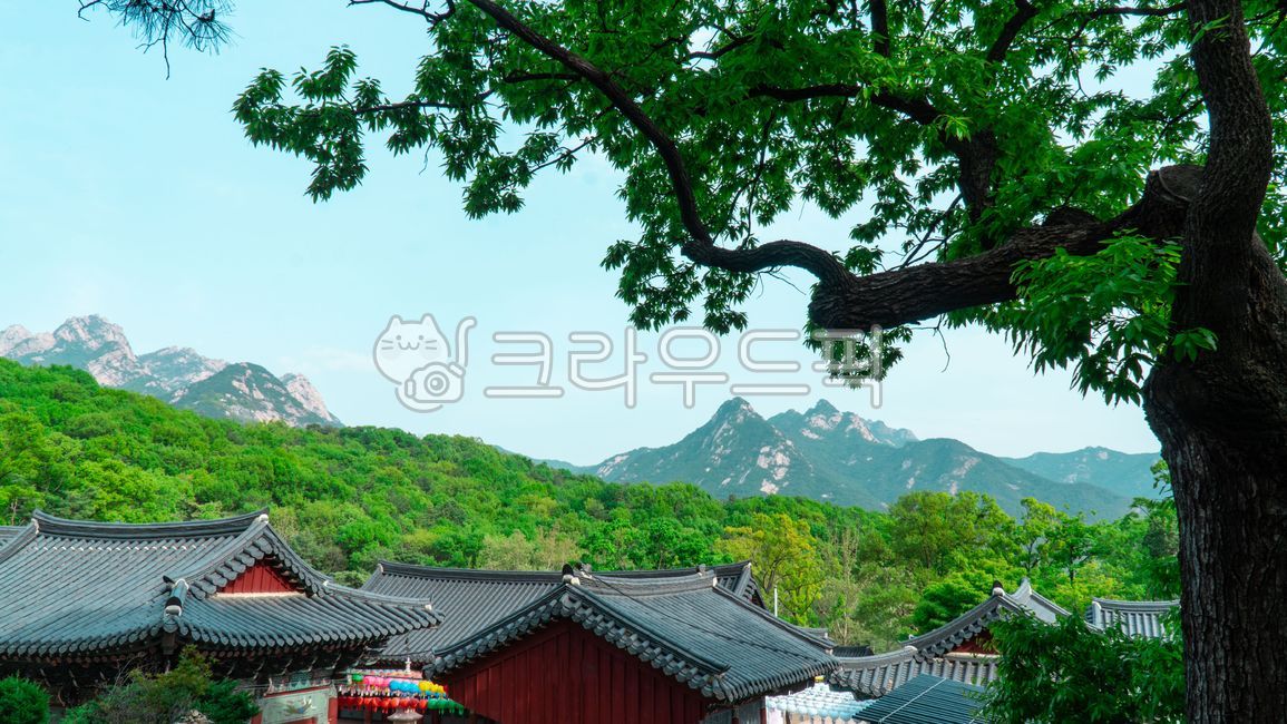 불교, 산사, 명상, 절, temple, 사진,이미지,일러스트,캘리그라피 - MediaChef작가
