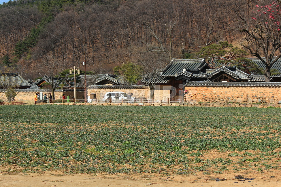 전통,한옥,봄,랜드마크,한국문화,tradition,landmark,spring,nature,korea,시골,마을,풍경,landscape,country,rural,town,한국전통,한국문화,korean traditional,korean culture