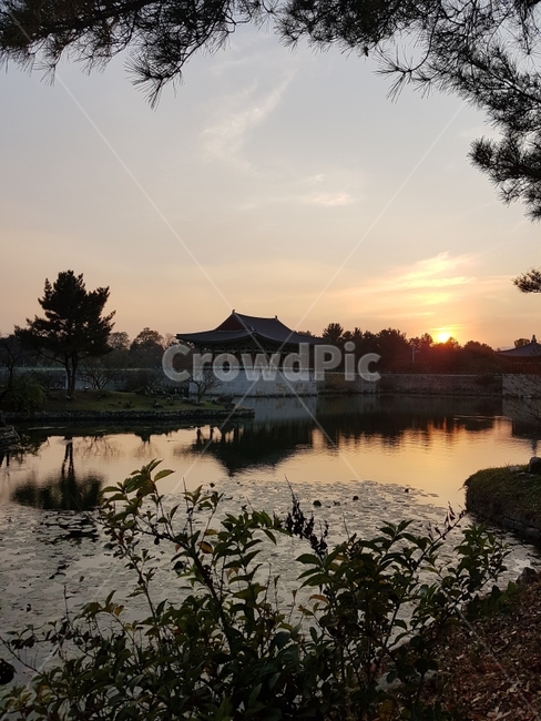 경주,동궁과월지,풍경,저녘노을,여행,한국전통,한국문화,korean traditional,korean culture,랜드마크,landmark,tourist attraction,한국랜드마크,한국관광지,한국명소,korea landmark,korea tourist attraction