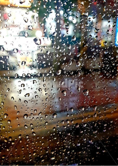 비,rain,빗방울,풍경,경치,비,비오는날,rain,rainy