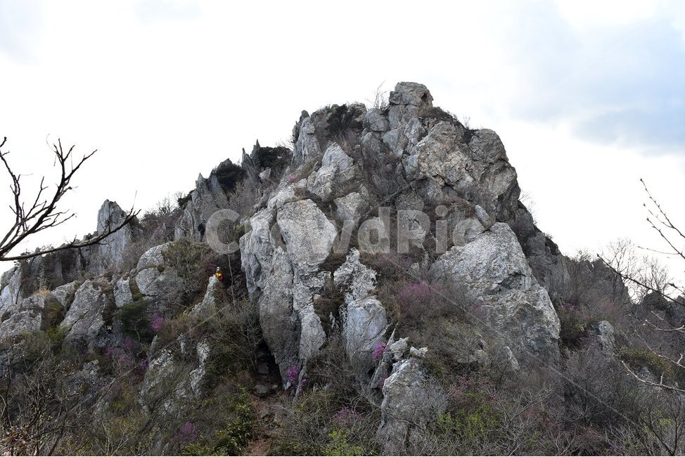 주작산,덕룡산,종주,진달래,풍경,기암,바위,비경,봄풍경,진달래꽃,강진,명산,산행,등산,마운틴,힐링,mountain,landscape,자연,natural,자연,풍경,nature,landscape,한국자연풍경,한국자연경관,korea nature landscape,outdoors,옥외,cliff,낭떠러지