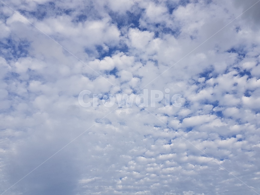 자연,구름,권적운,하늘,하늘구름,자연,풍경,nature,landscape,outdoors,옥외,sky,cloud