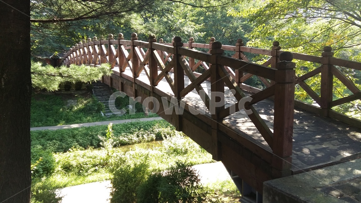 천,나무다리,다리,산책,여름