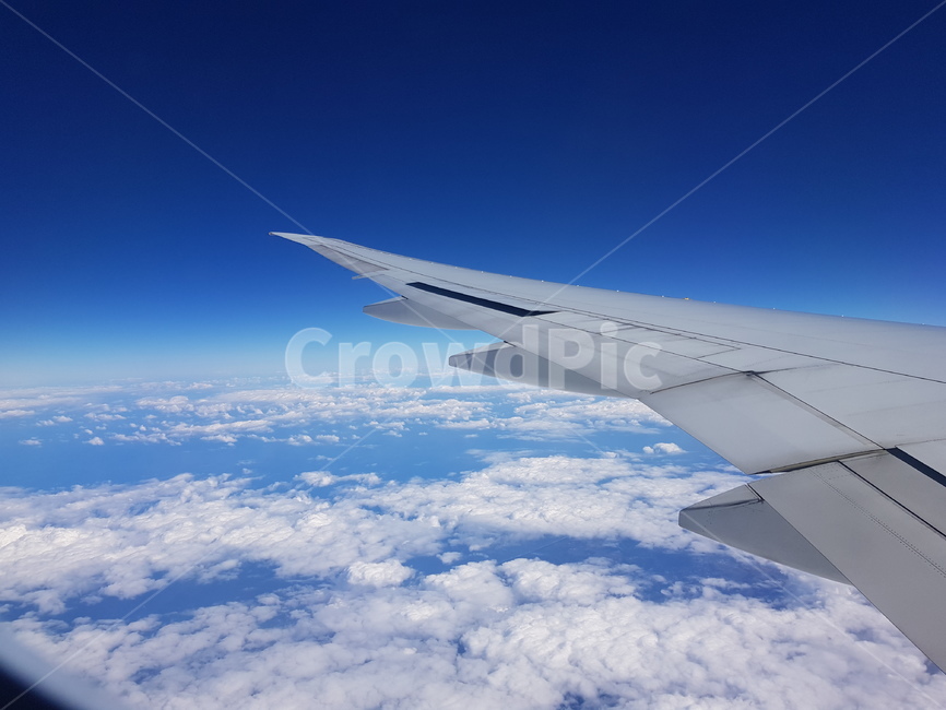 airplane wings,cloud,sky,wing