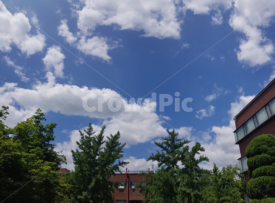 캠퍼스,대학,대학교,구름,하늘,맑은,화창한,청량한,서울시립대학교,시립대,오후