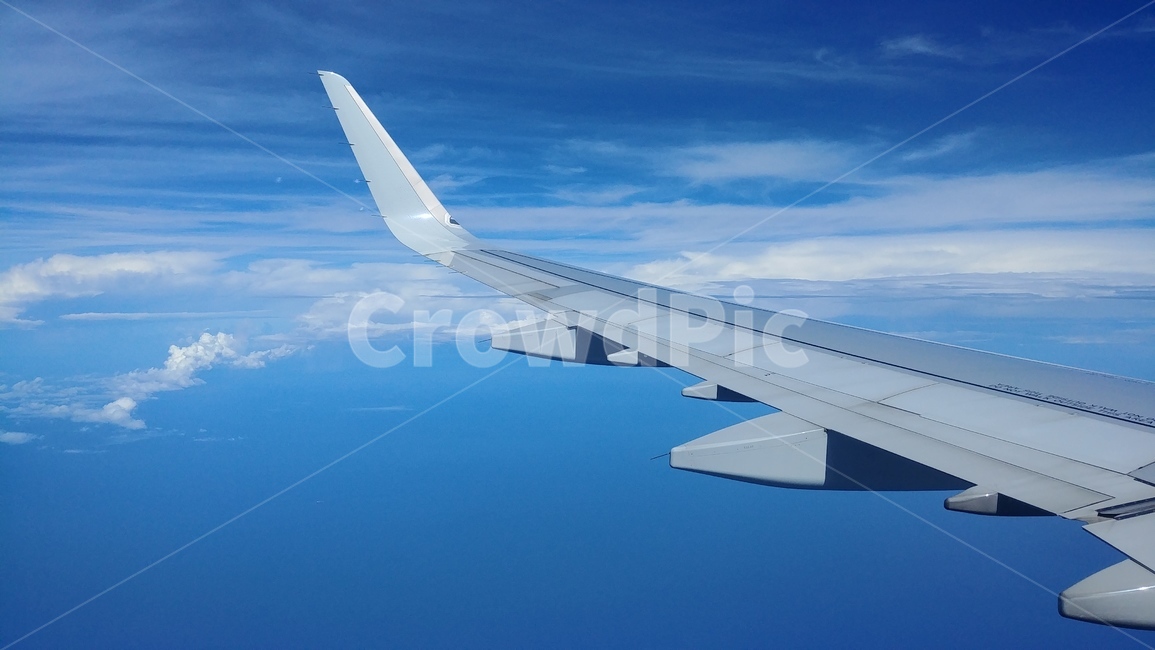비행기,항공기,하늘,항공,비행,flight,airplane,교통,교통수단,traffic,transportation