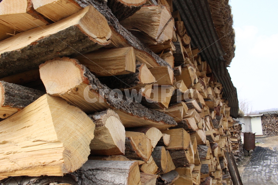 나무,장작,장작더미,땔감,참나무,나무,trees,wood