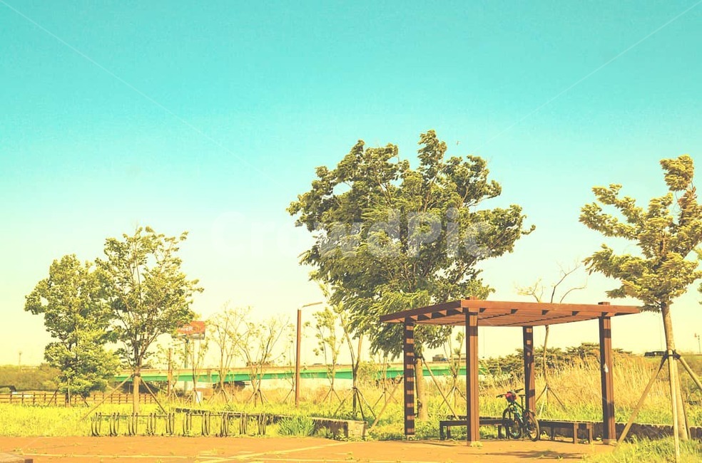감성,봄,벚꽃,오후,공원,spring,계절,감성사진
