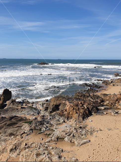 nature,자연,sea,바다,water,포르투