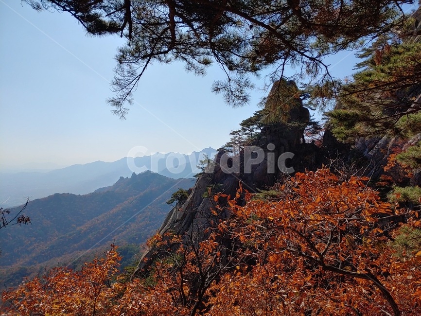 산,자연,풍경,겨울,힐링,가을,계절,fall,autumn,season