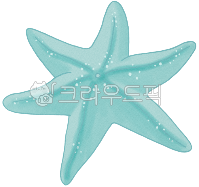 불가사리,바닷가,피서,모래사장,바다생물,연체동물,바다,해양,해양생물,비치,starfish,sea,beach,파스텔톤,민트색,여름,바캉스,휴가