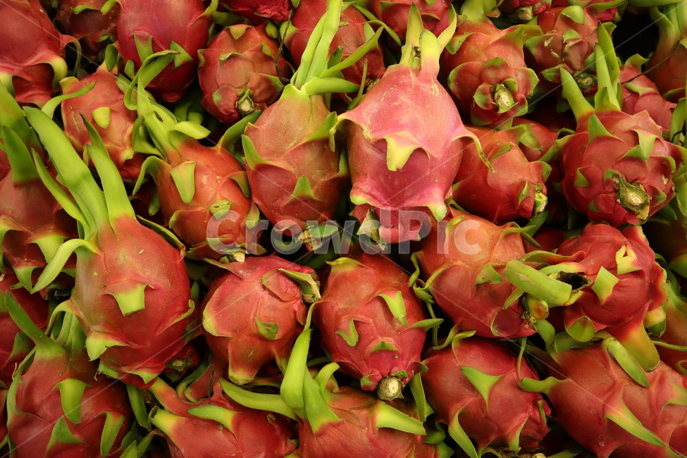 용과,과일,dragonfruit,fruit,시장,market,음식,식재료,요리,food,cook,meal,dishes,food reserves,과일,열매,fruit
