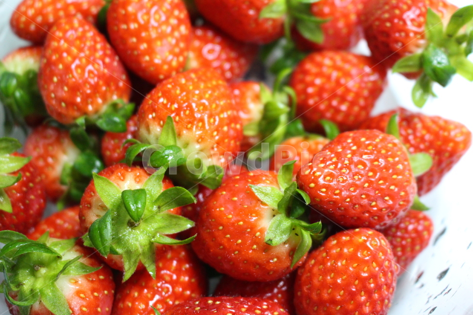 fruit,과일,food,음식,strawberry,딸기