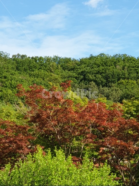 절경,계절,자연,상괘함,시원함