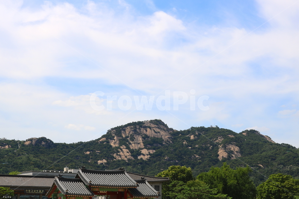 경복궁,고궁,기와지붕,서울,광화문,옛날집,산,나무,풍경,한국전통,한국문화,korean traditional,korean culture,건축물,건물외관,exterior,building,structure,architecture,construction