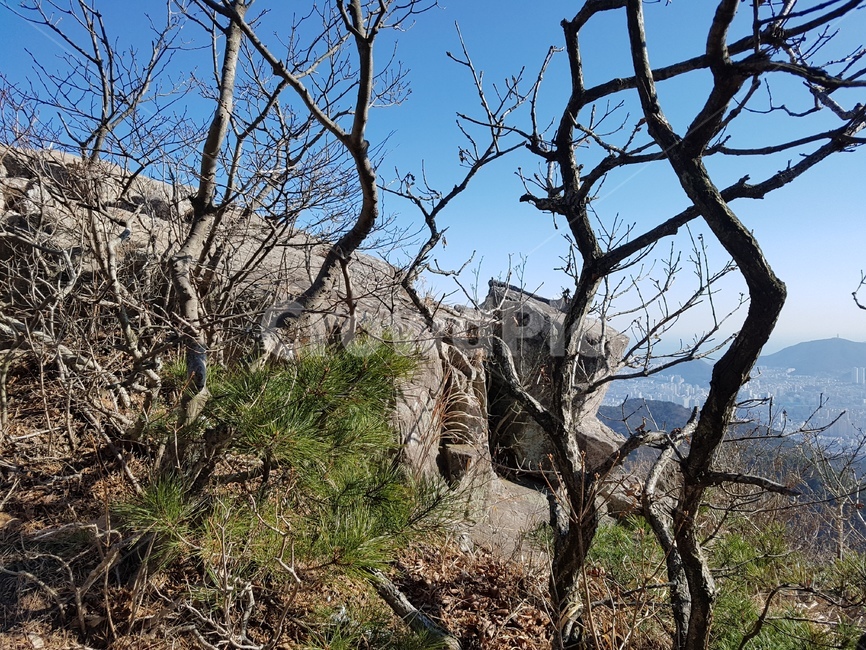 산,자연,금정산,나무,바위,mountain,tree,rock,outdoors,바위산,자연,풍경,nature,landscape
