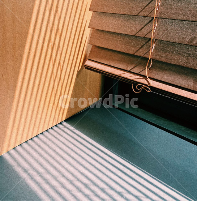 감성,블라인드,빛,그림자,가을,나무,사선,light,shadow,blind