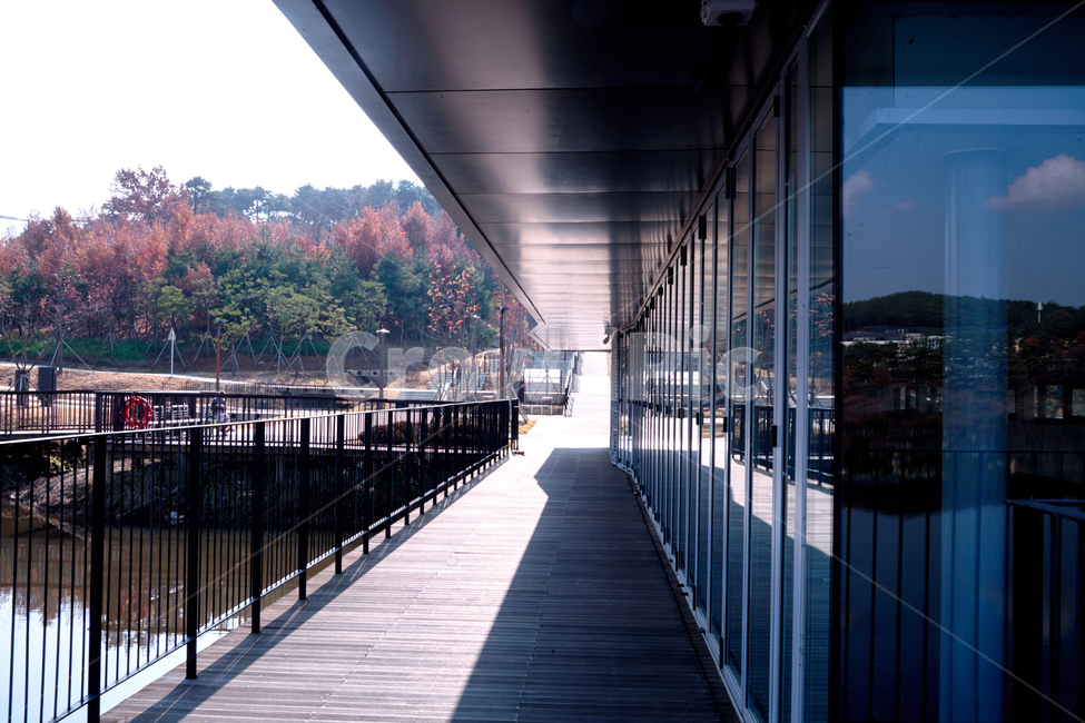 호수,가을,카페,커피,단풍,건축물,건물외관,exterior,building,structure,architecture,construction