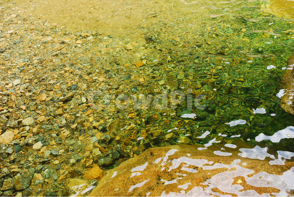 계곡,담,물결,웨이브,시즌,투명한,비치다,반영,맑은,오염없는,water,wave,puddle,조약돌,잔잔한,평온,수면,환경,깨끗한,청정,무공해,물속,transparency,clear,clean,pebble,돌맹이,돌,자연,풍경,nature,landscape,plant,식물,algae,조류