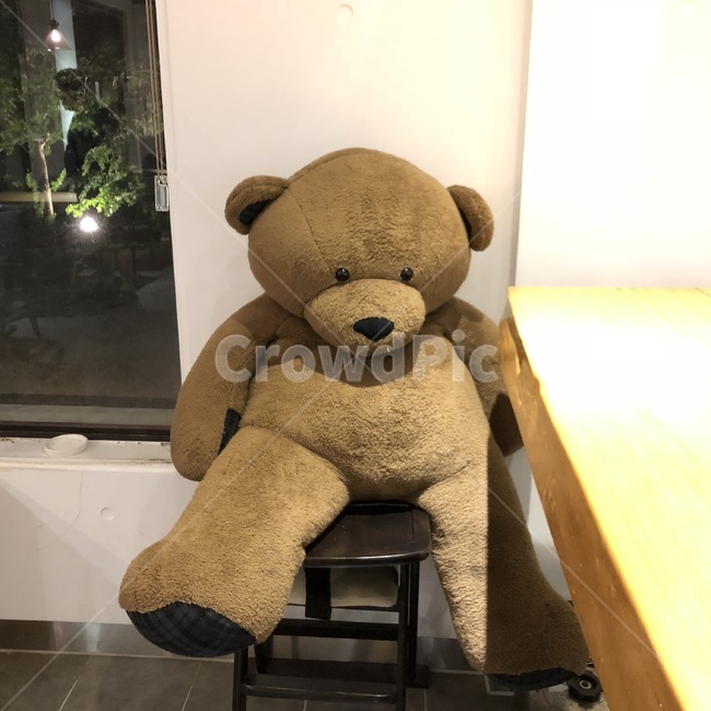 곰돌이인형,인형,곰돌이,곰,teddybear,카페,큰인형,갈색곰돌이,갈색인형,갈색,조명,사물,물건,오브젝트,thing,object,matter