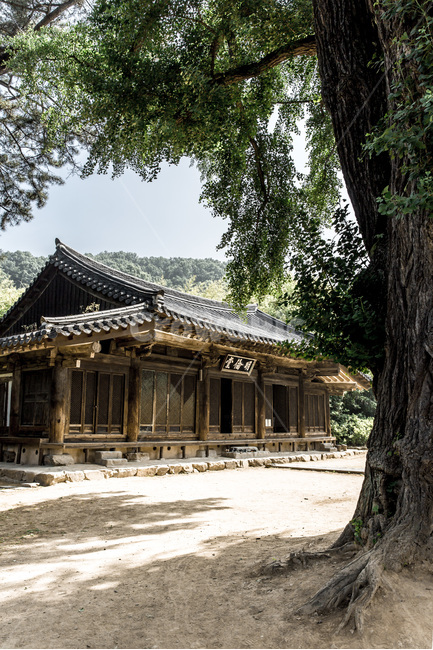 전주한옥마을,고택,문화유산,명류당,한국의미,관광명소,한국전통,한국문화,korean traditional,korean culture,건축물,건물외관,exterior,building,structure,architecture,construction