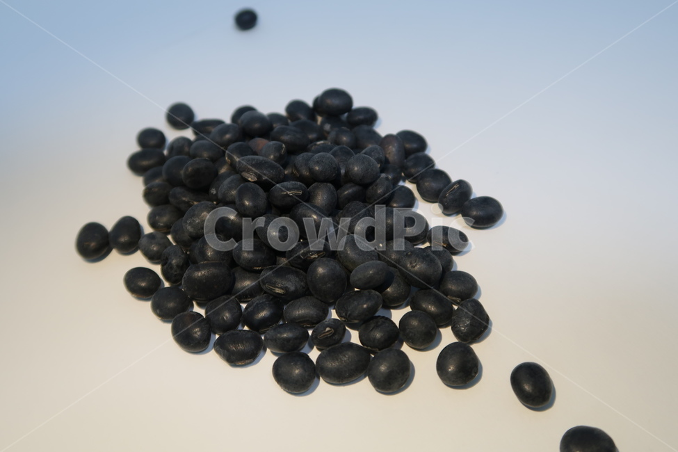 검은콩,서리태,잡곡,곡물,콩,음식,식재료,요리,food,cook,meal,dishes,food reserves,콩류,견과류,beans,pulse,nuts,dry fruits