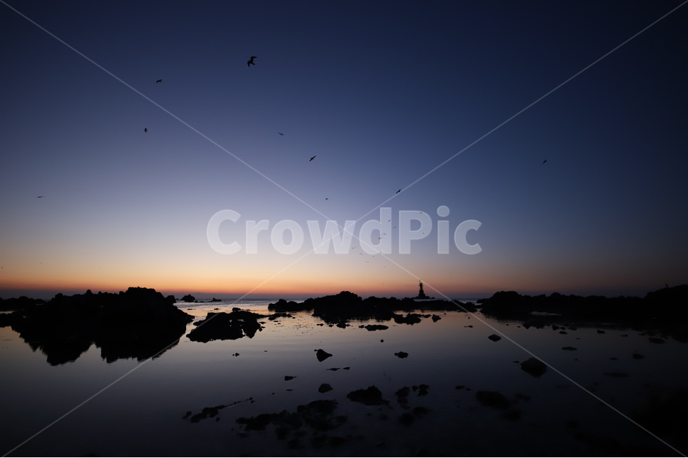 등대,일출,경주,바다,여명,갈매기,반영,반영사진,sunrise,바위,sea,풍경,자연,스냅사진,스냅,자연,풍경,nature,landscape,outdoors,옥외