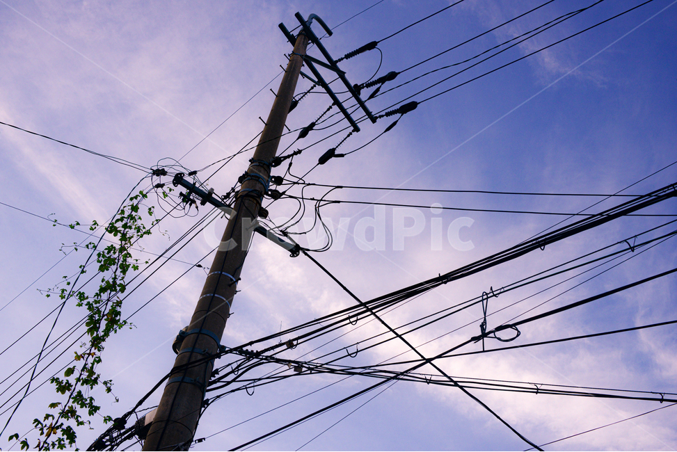 전신주,utilitypole,전봇대,하늘,전깃줄,도시,에너지산업,energy industry