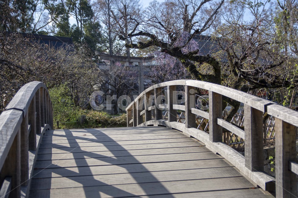 다리,bridge,건물,architecture,건축물,temple