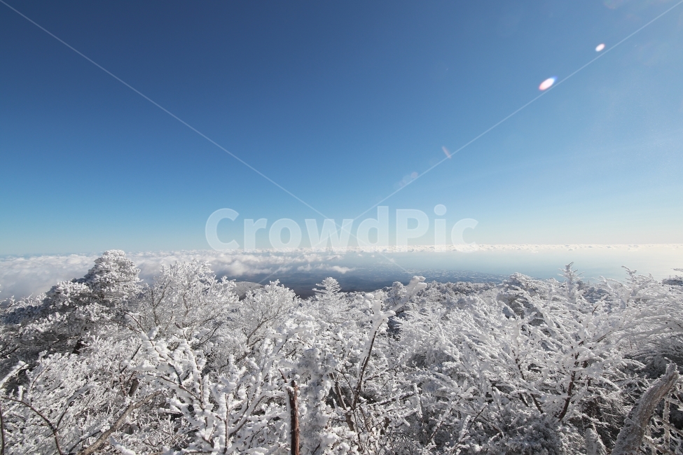 한라산,상고대,설산,겨울,겨울산행,눈꽃,진달래대피소,성판악,관음사,제주도,제주,백록담,겨울,계절,winter,season,자연,풍경,nature,landscape,outdoors,옥외