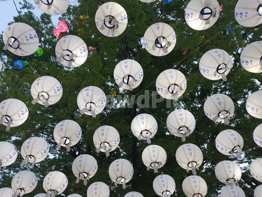 연등,초파일,석가탄신일,길상사,절,사찰,lotuslantern