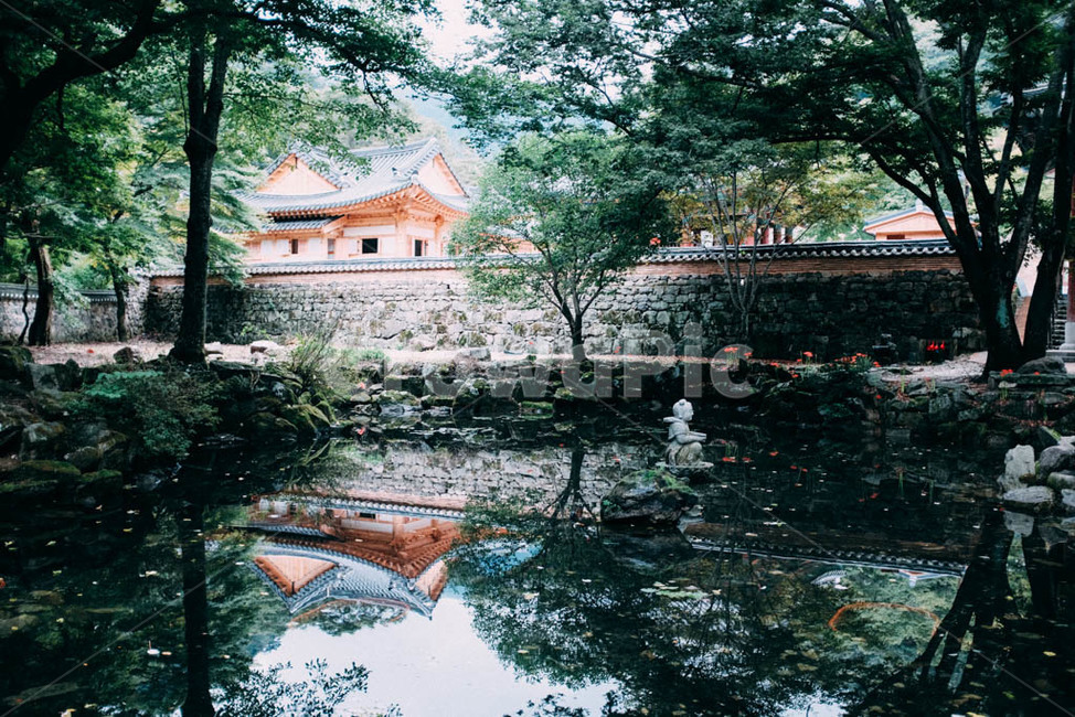 내장산,내장사,절,평온,불상,한국전통,한국문화,korean traditional,korean culture,휴식,힐링,rest,relaxation,healing