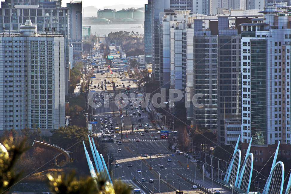송도,신도시,인천,도시,도심,건물,도로,도시,풍경,city,landscape