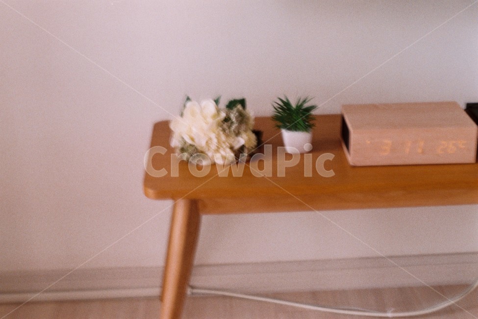 실내,감성샷,분위기,꽃,인테리어,원목,인테리어,실내디자인,interior design
