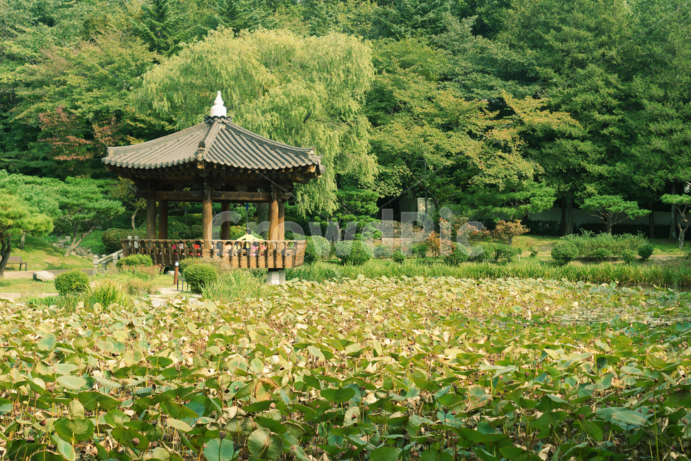경주,보문정,초록,푸르른,자연,자연,풍경,nature,landscape,한국자연풍경,한국자연경관,korea nature landscape,outdoors,옥외,garden,정원,arbour,정자
