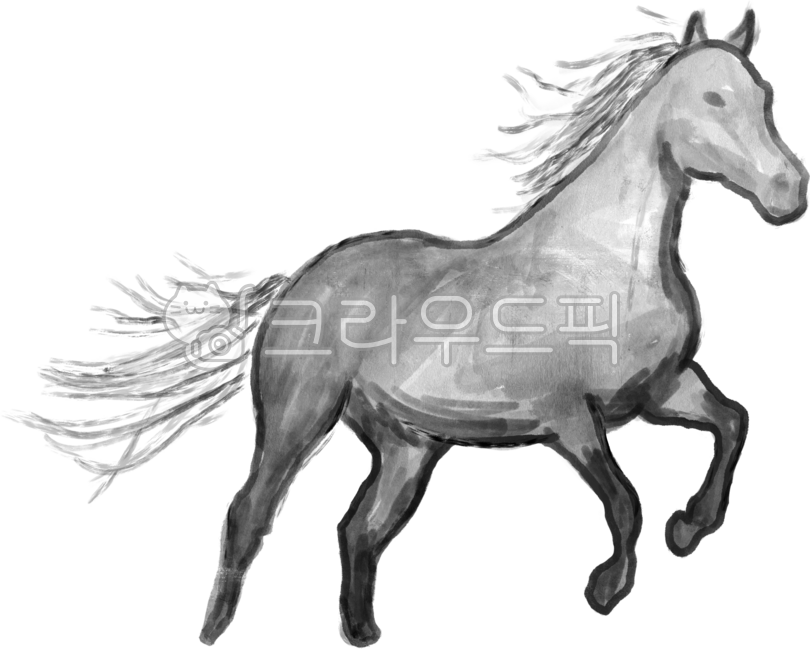 말,말그림,말스케치,말동양화,동양화,2026년,병오년