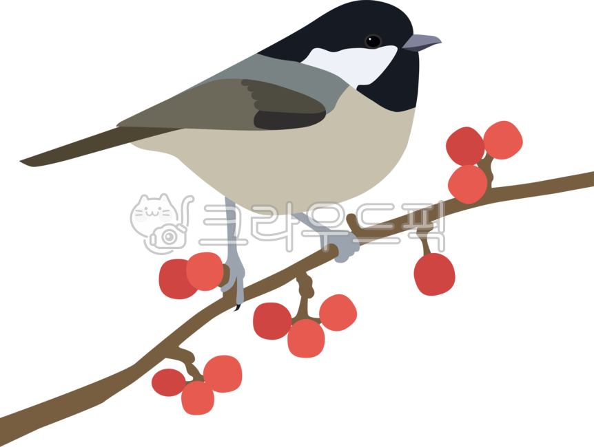 박새,새,새일러스트,겨울새,작은새,bird,동물,일러스트,동물일러스트,디자인,디자인소스