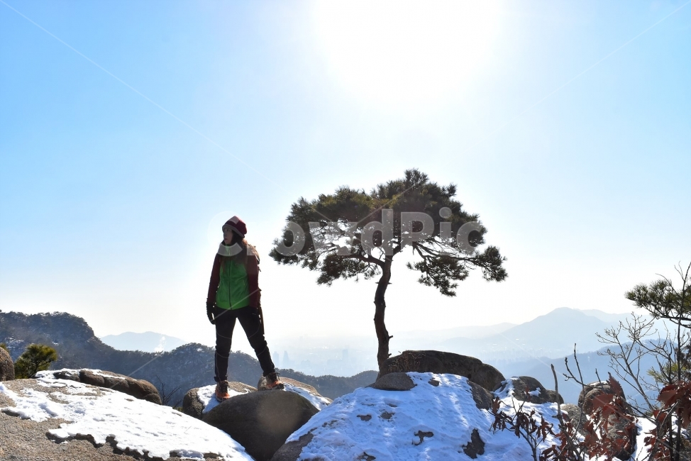 관악산,풍경,겨울,자연,눈,스포츠,등산,산행,nature,snow,겨울풍경,느낌,아름다운,신비로운,경이로운,기암,바위,암봉,암릉,다큐,필,힐링,명산,landscape,winter,season,트레킹,100대명산,인기명산,조망,전망,정부청사,6봉,수목원능선,바윗길,암릉길,명품송,소나무,한국자연풍경,한국자연경관,korea,관양능선,팔봉능선,국기봉,겨울,계절,winter,season,자연,풍경,nature,landscape,한국자연풍경,한국자연경관,korea nature landscape,사람,인물,인간,human,person,여성,여자,woman,female,lady,여행,휴가,traveling,vacation,trip,스포츠,레저,운동,sports,leisure,exercise,outdoors,옥외