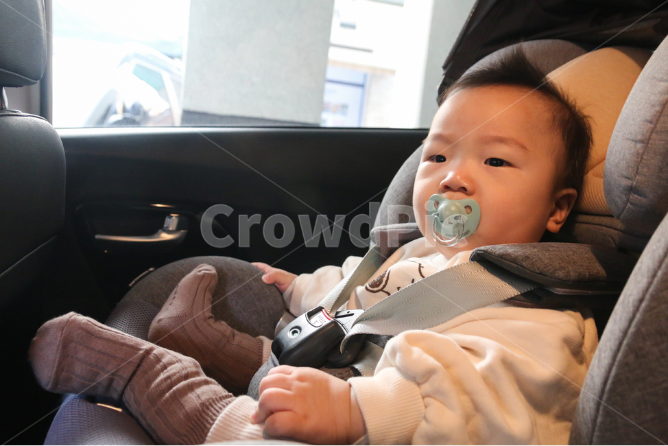 카시트,유아카시트,베이비시트,안전벨트,뒷자석,자동차,표정,얼굴,차,승용차,안전,교통,엄마,부모,육아,애기,신생아,귀여운,작은,외출,영유아,어린아이,교통안전,도로교통,유아,1살,1세,아기,얌전한,남자아기,사람,인물,인간,human,person,영유아,아기,애기,아이,infants,baby,교통,교통수단,traffic,transportation