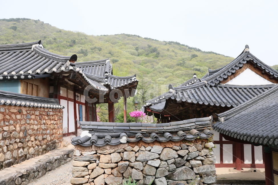 순천,선암사,만첩왕벚,왕벚꽃,겹벚꽃,봄,사찰,꽃,벚꽃,한국전통,한국문화,korean traditional,korean culture,건축물,건물외관,exterior,building,structure,architecture,construction